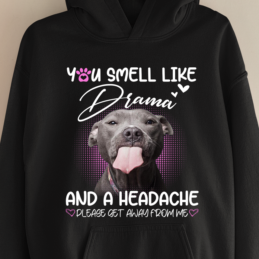 This Redhead Does Not Play Well With Stupid People Dog Lovers Gift Standard Hoodie