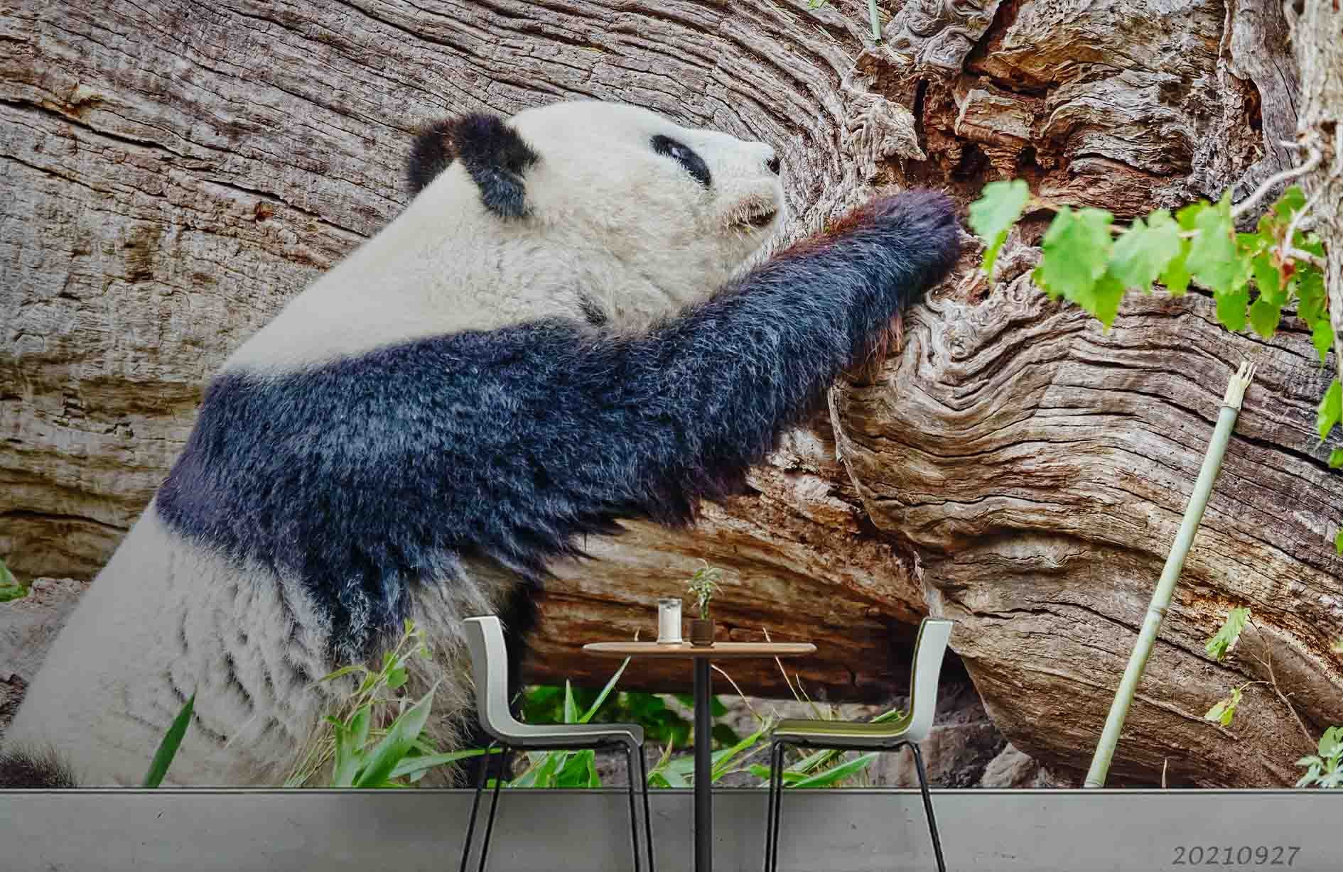 3D Zoo Panda Animal Wall Mural Wallpaper Lqh 91