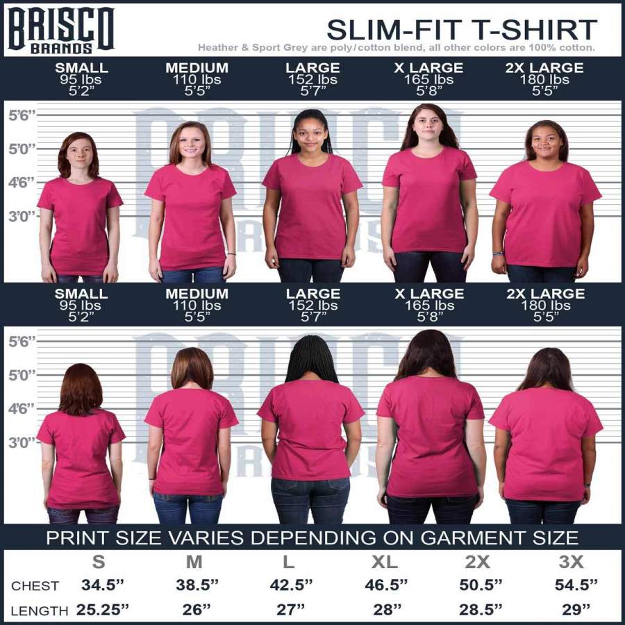 Breast Cancer Awareness  Support The Fight Ladies T-Shirt