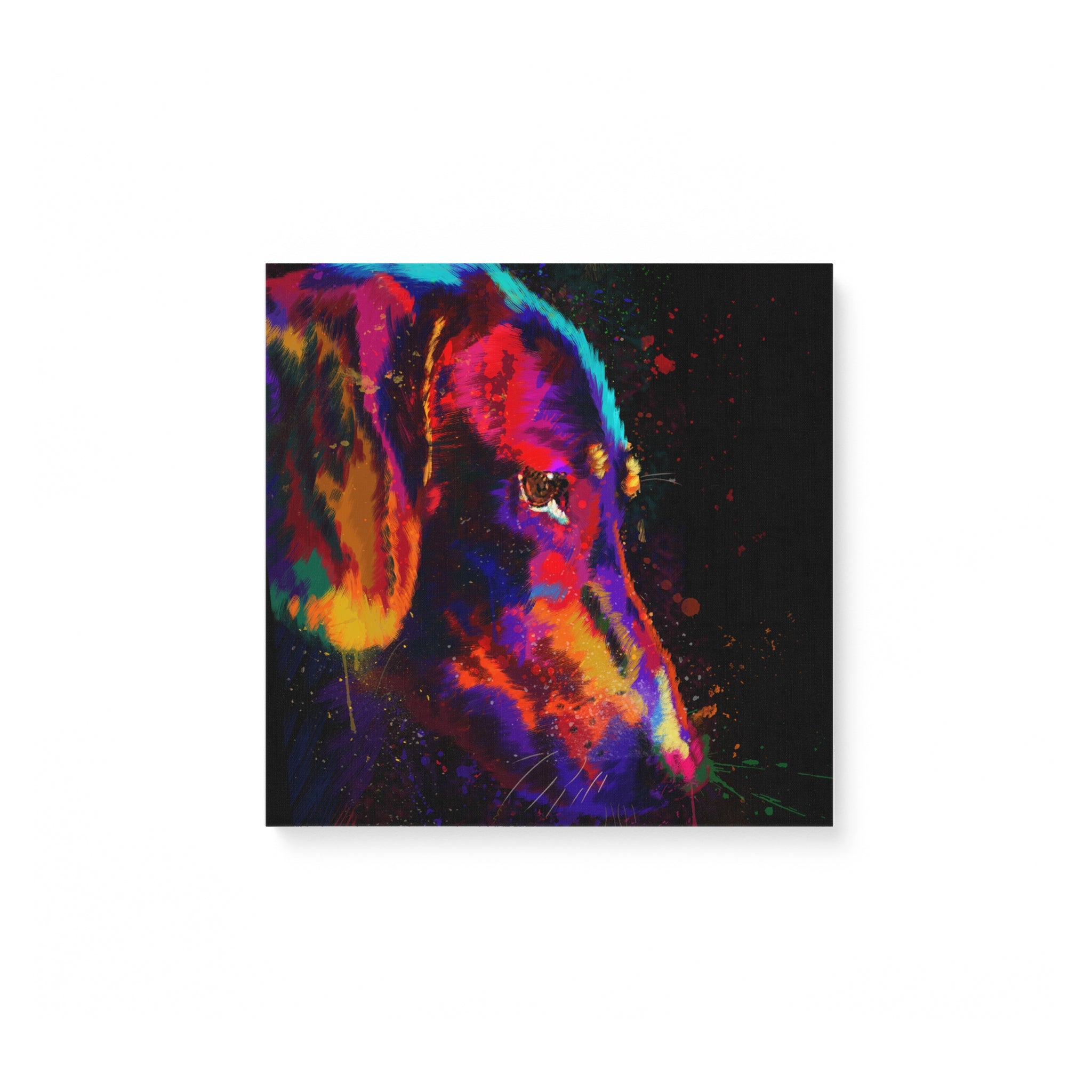 Dachshund 3 Water Color – Matte Canvas
