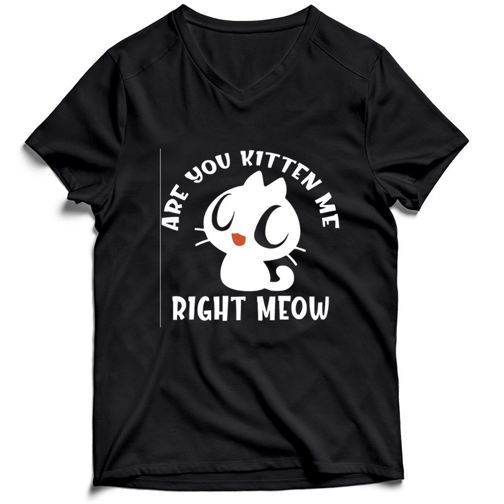 Are You Kitten Me Right Meow Range Men’s V-Neck Tee T-Shirt