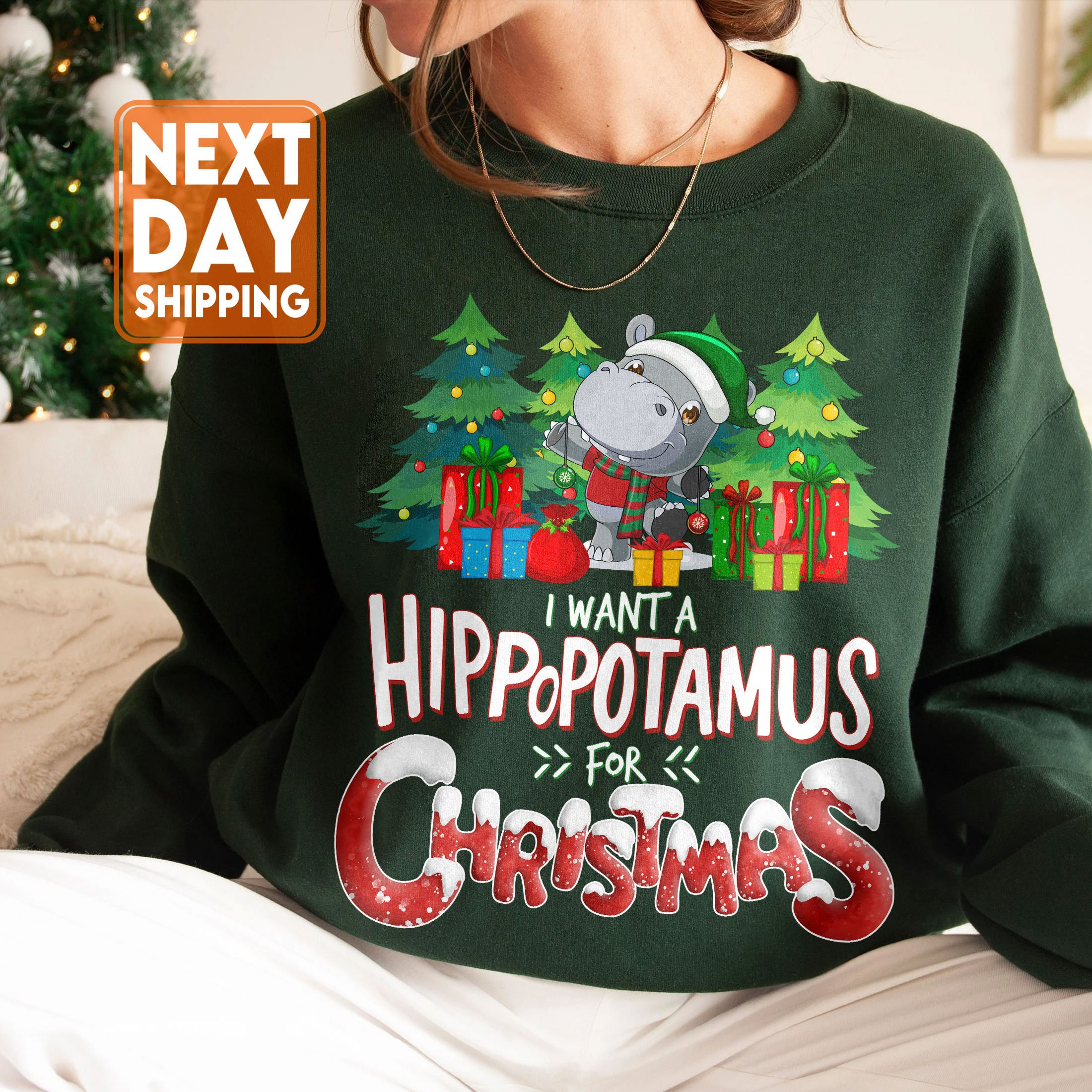 I Want A Hippopotamus For Christmas Sweatshirt, Christmas Lovers Gift, Christmas Hippopotamus Shirt, Christmas kid Shirt,Happy Christmas Tee