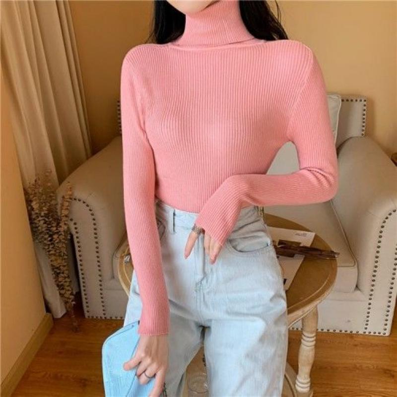 Turtleneck Women Sweaters Casual Basic Slim Pullover Autumn Winter Soft Long Sleeve Tops Bottom Shirt Female Knitted Sweaters alx