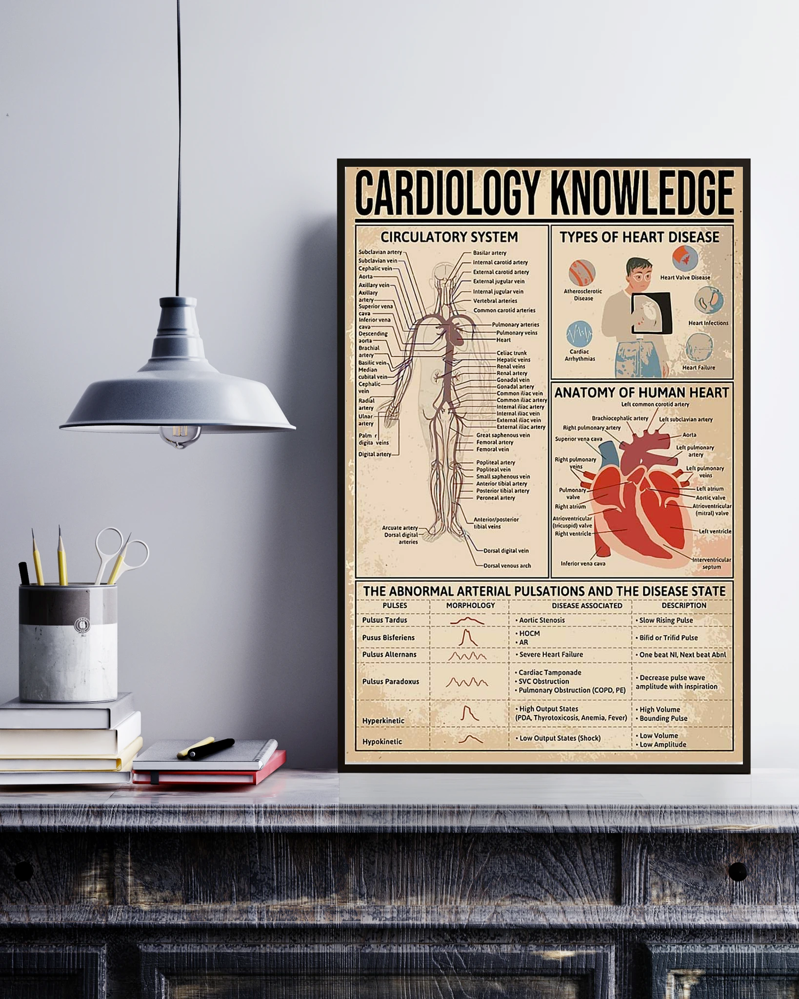 Cardiologist Knowledge Poster