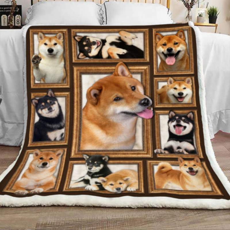 Shiba Dog Sherpa Blanket JR3001 95O47