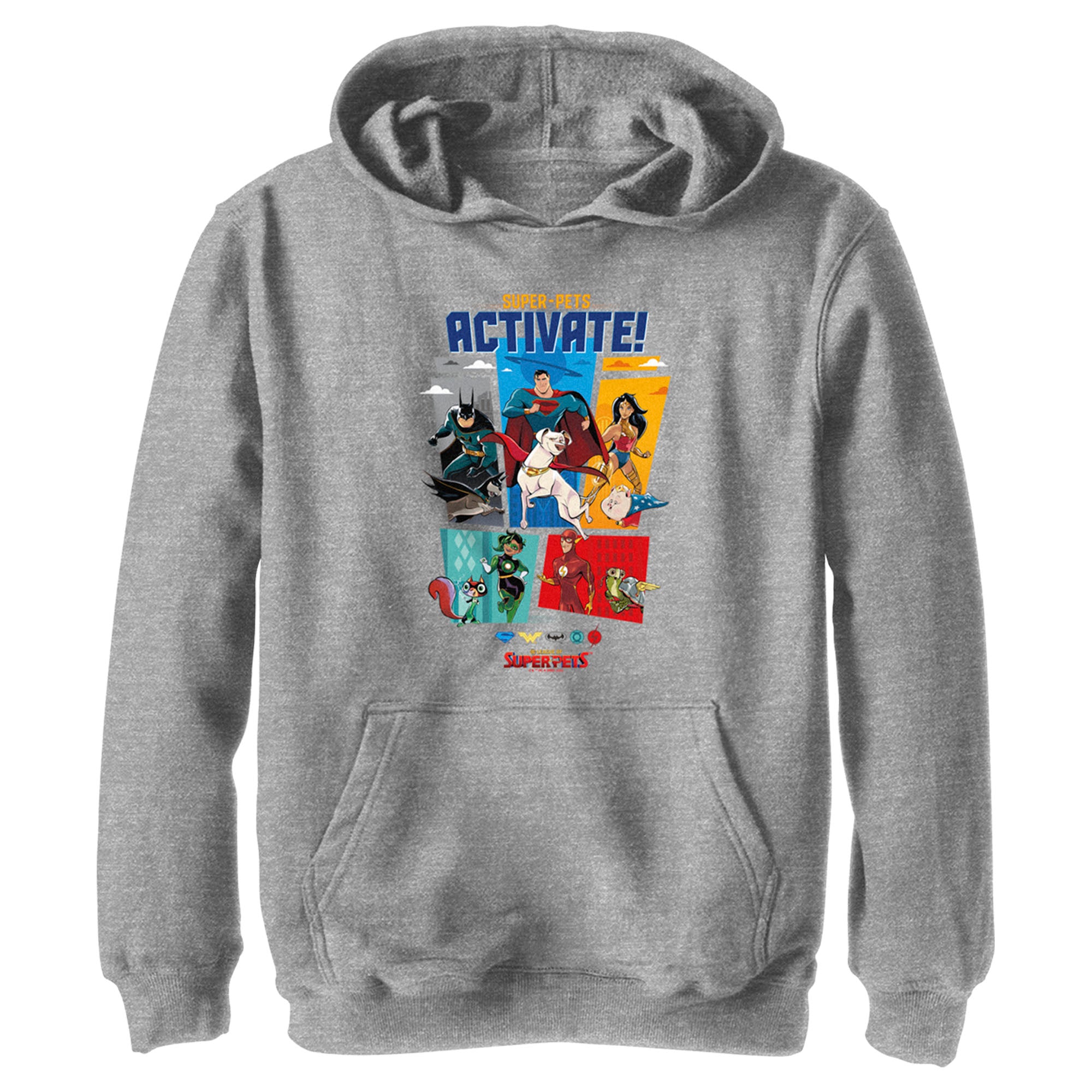 Boy’S Dc League Of Super-Pets Activate Group Panels Pull Over Hoodie