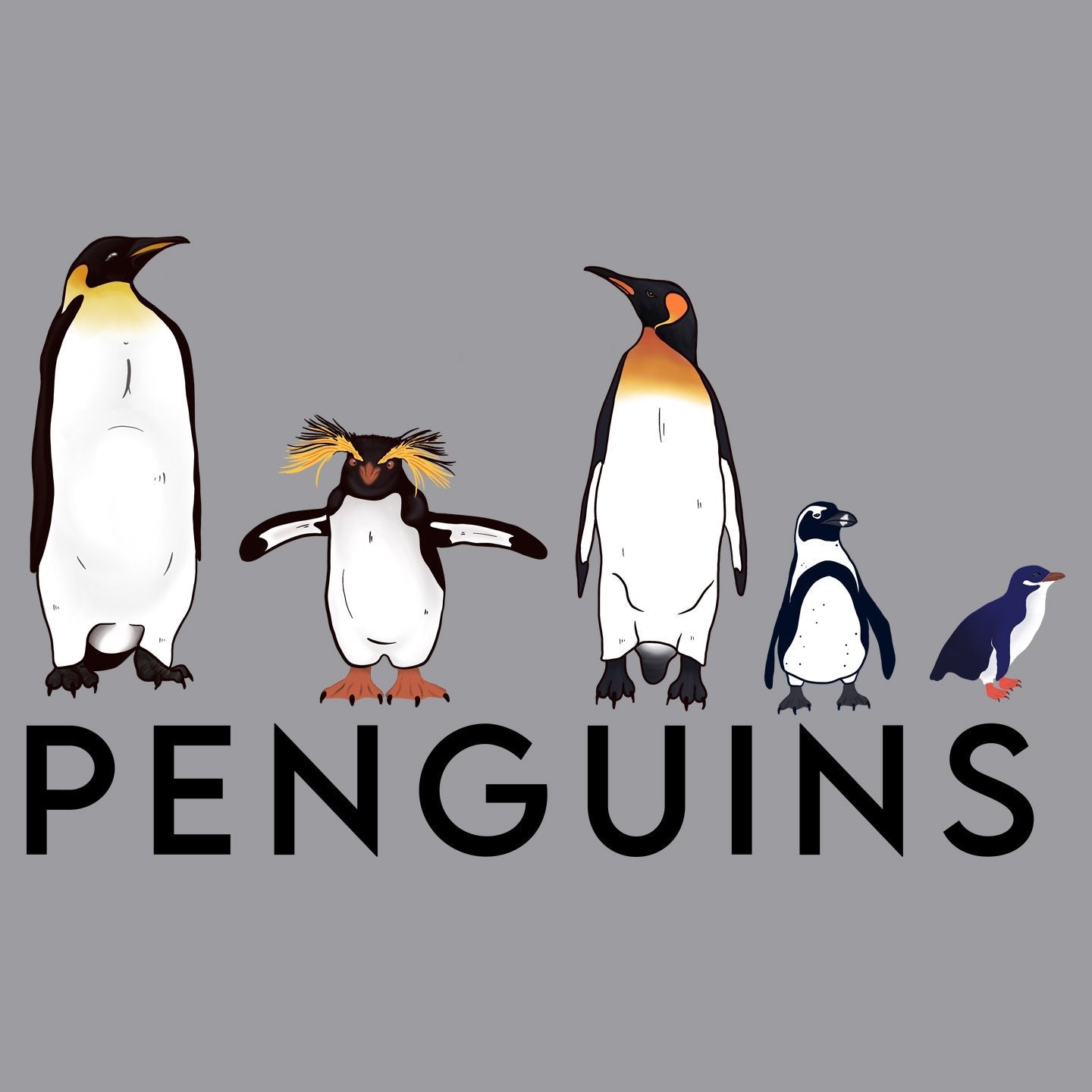 Five Penguins – Adult Unisex Crewneck Sweatshirt