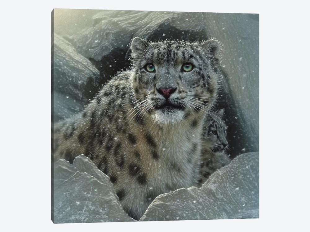 Snow Leopard Fortress, Square Canvas Poster 8″x12″ 12×18″ 18″x26″ 24″x36″ 30″x45″