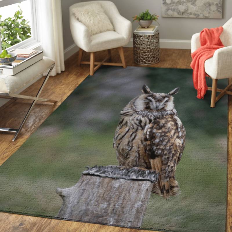 Sleepy owl – Animals Area Rug Carpet