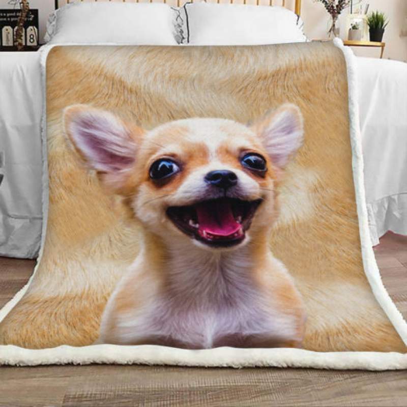 Chihuahua Dog Sherpa Blanket JR1701 71O57