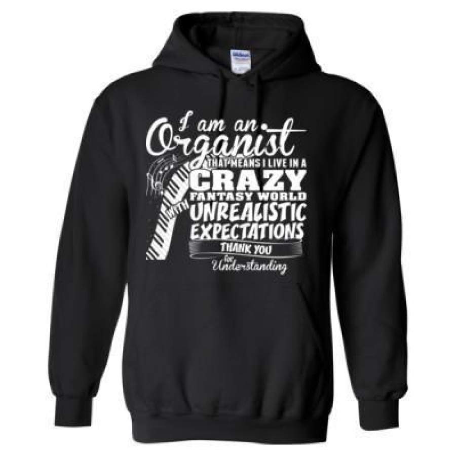 AGR I Am On Organist That Means I Live In A Crazy Fantasy World With Unrealistic Expectations Thank You For Understanding – Heavy Blend™ Hooded Sweatshirt