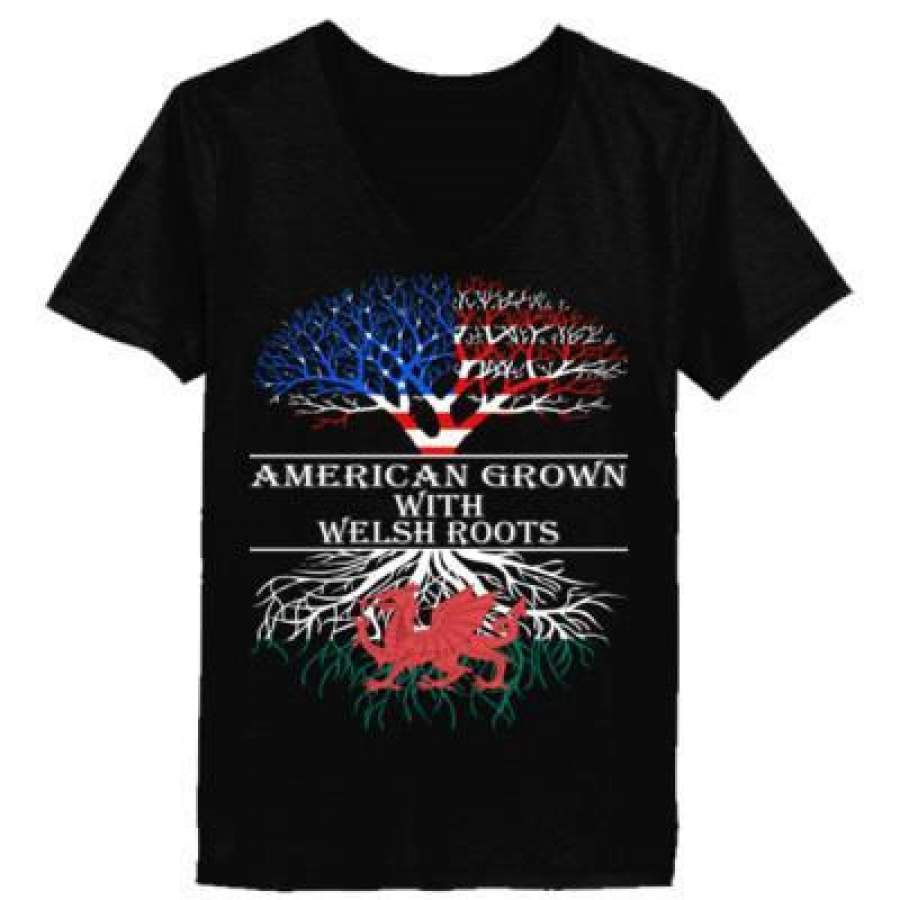 AGR American Grown With Welsh Roots – Ladies’ V-Neck T-Shirt