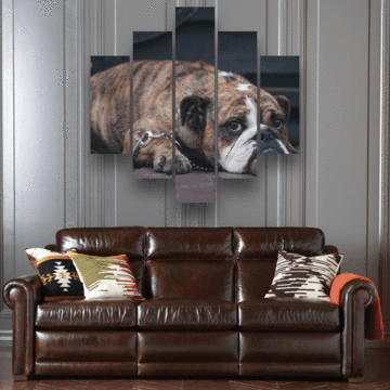 Tired Bulldog Animal Sad face 5 panel Canvas – Wall Art