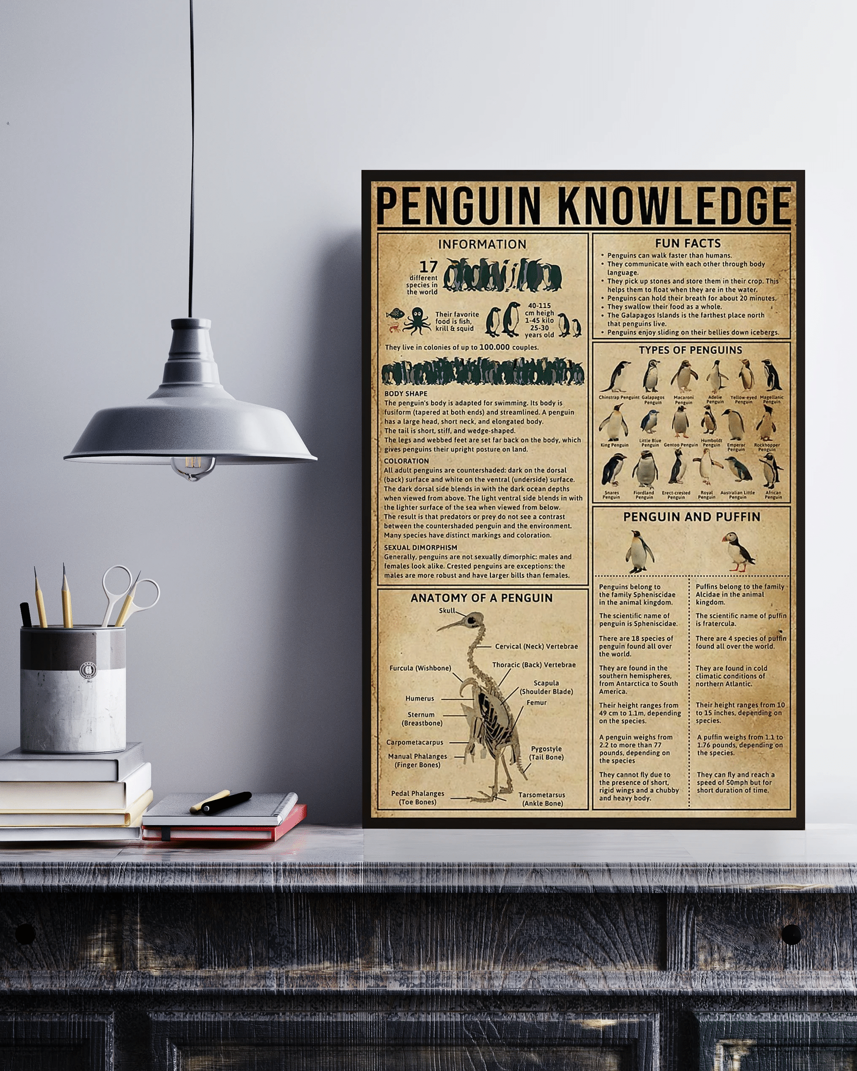 Anatomy Of A Penguin Knowledge Canvas Poster Wall Art