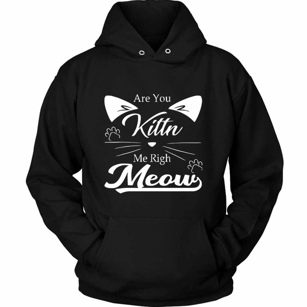 Are You Kitten Me Right Meow Kitty Unisex Hoodie