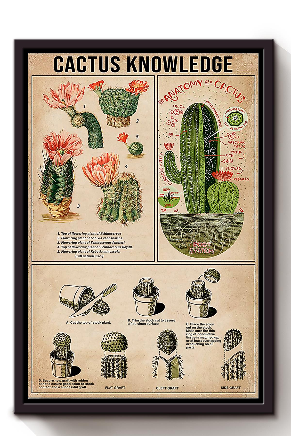 Cactus Knowledge Wall Art For Catus Lover Planter Home Decor Framed Matte Canvas