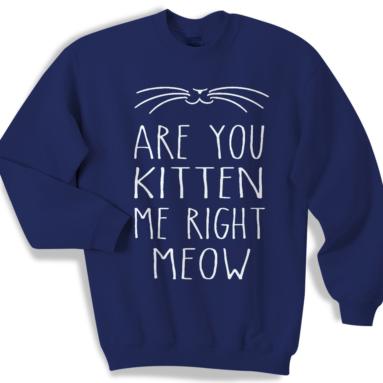 Are You Kitten Me Right Meow Sweater Sweatshirt