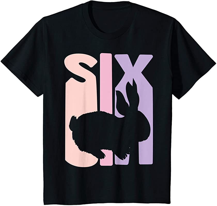 Kids 6th Birthday Gift Bunny Rabbit Fan 6 Years old Girl T-Shirt