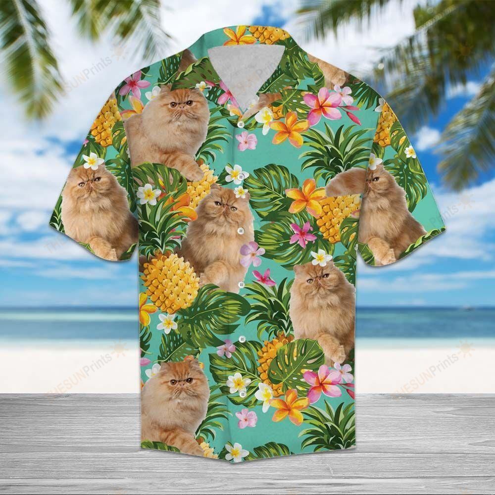 Tropical Pineapple Persian Cat Hawaiian Shirt Ha104868