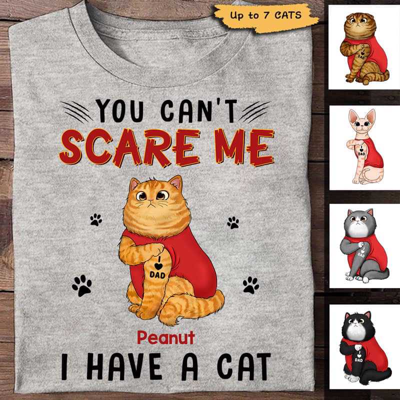 You Can‘t Scare Me I Have A Fluffy Cat Personalized Shirt