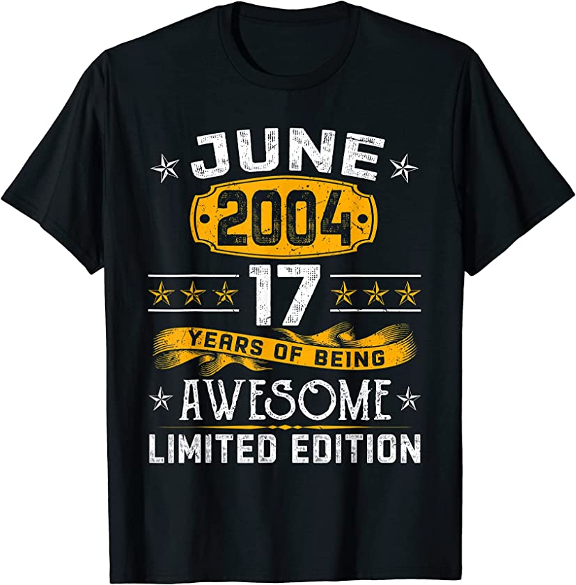 Vintage June 2004 17th Birthday Decorations 17 Years Old T-Shirt