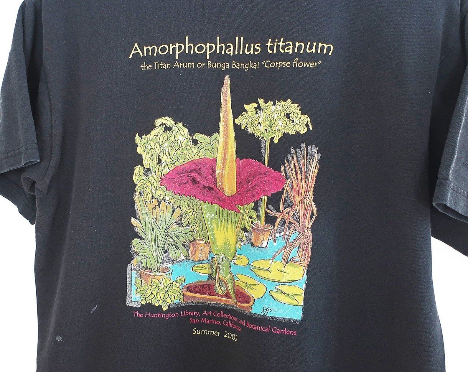 Vintage T Shirt / Flower T Shirt / Corpse Flower / 2000S Faded Black Corpse Flower Botanical Gardens Shirt