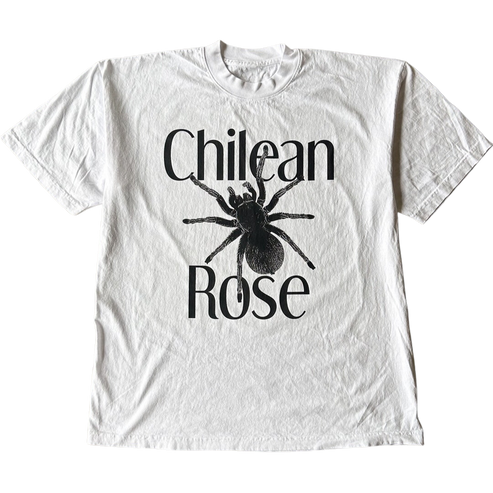 Chilean Rose Tee Shirt Outfit  For Men  For Women