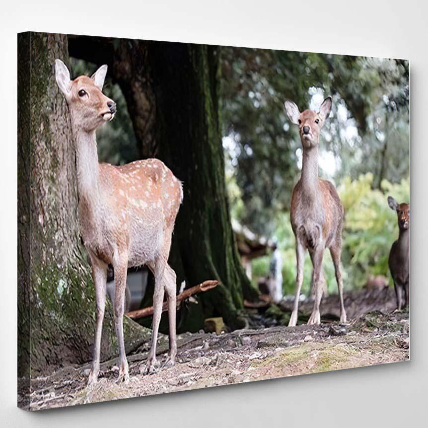 Wandering Deers All Around You Playful – Deer Animals Canvas Print