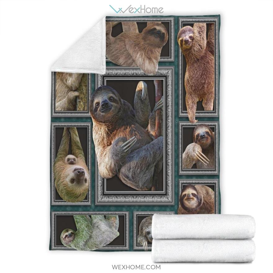 Cute 3D Sloth Premium Blanket Unique Design W1129