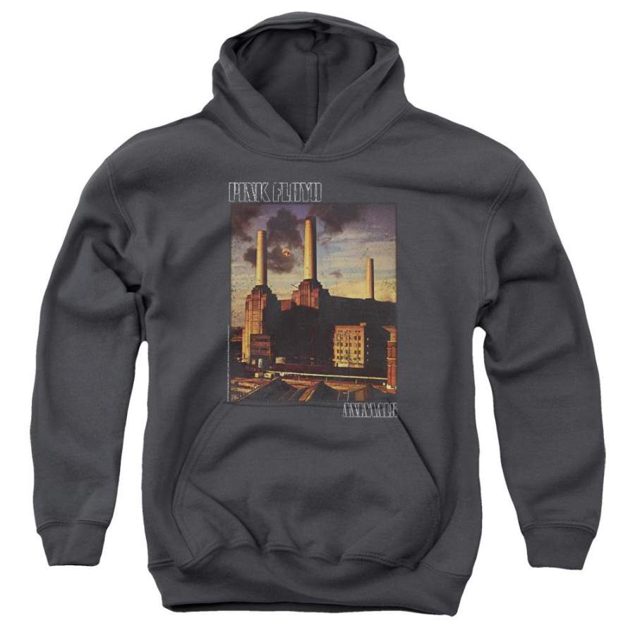 Pink Floyd Faded Animals Youth Hoodie (Ages 8-12)