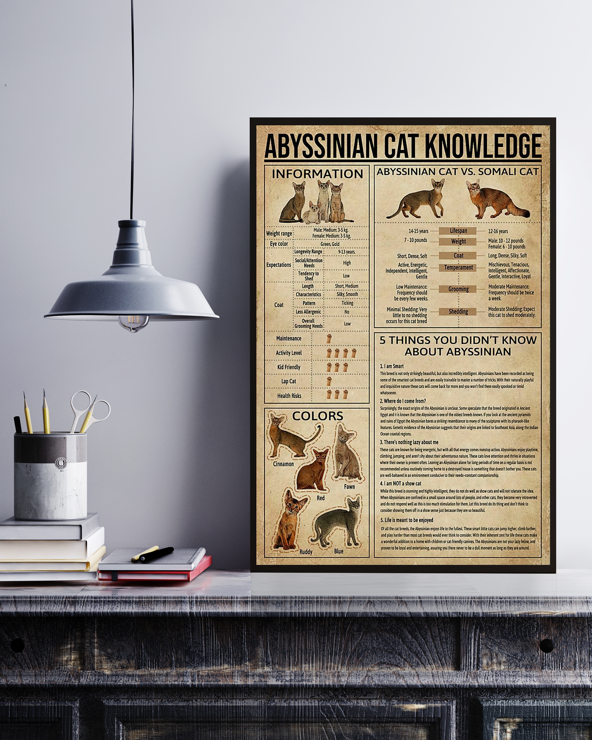 Abyssinian Cat Poster Portrait Knowledge Poster No Frame