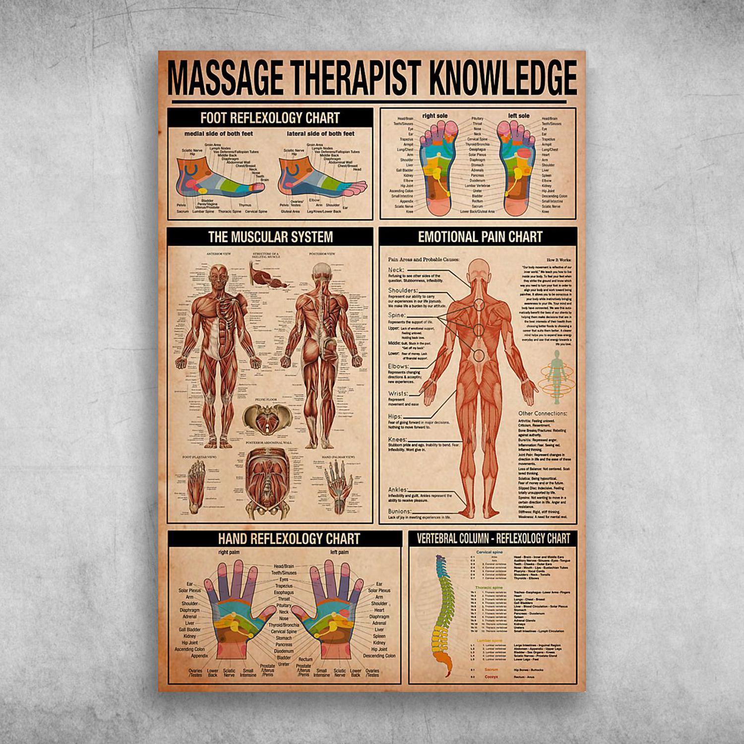 Massage Therapist Knowledge Foot Reflexology Chart The Muscular System Poster Print Wall Art Canvas Wall Decor