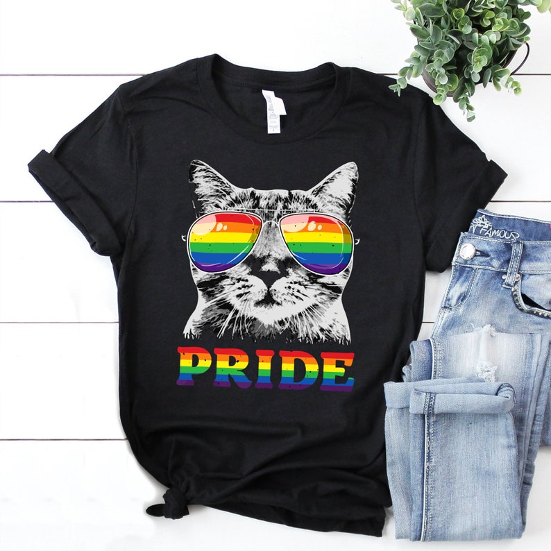 Funny Cat Gay Pride Lgbt Rainbow Shirt, Cat Lover Gift Lgbt, Rainbow Pride Shirt