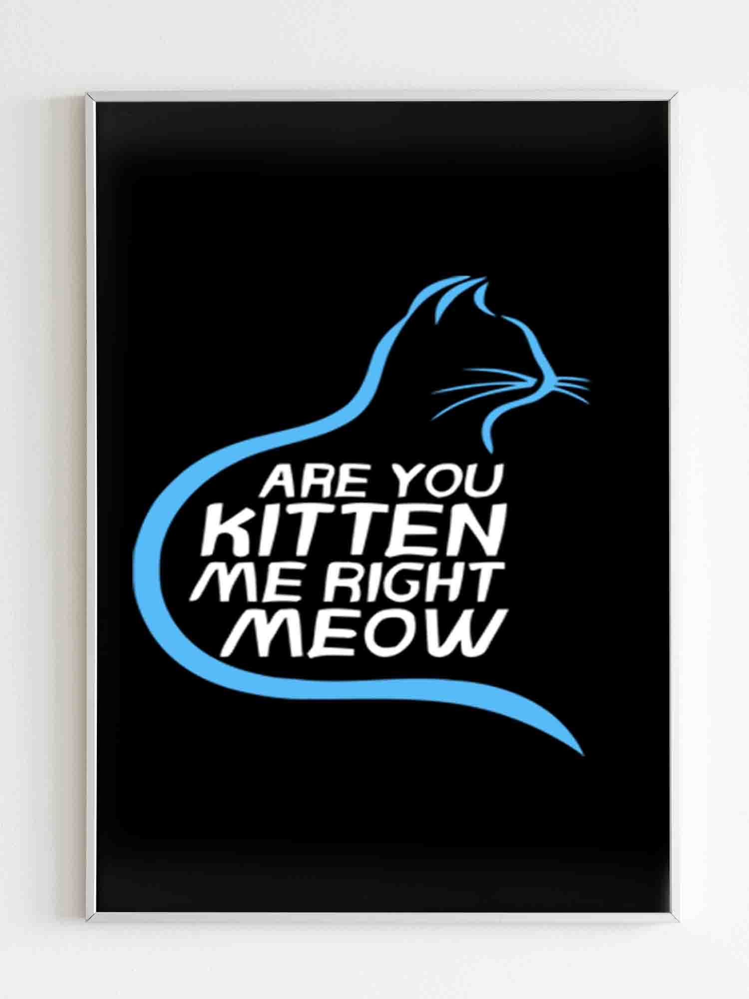 Are You Kitten Me Right Meow Hiden Poster