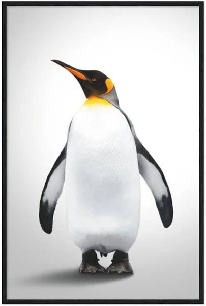 Emperor Penguin, Poster