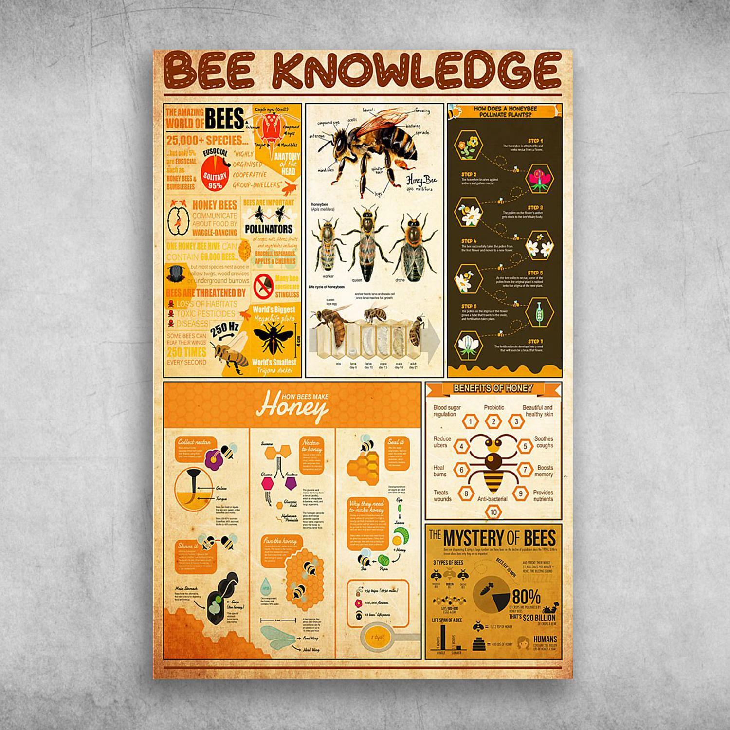 Bee Knowledge The Amazing World Of Bees Poster Print Wall Art Canvas Wall Decor