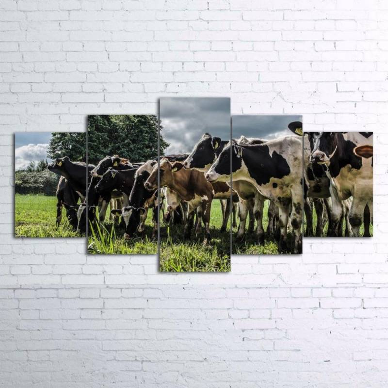 5 piece canvas Cow On Farm Canvas picture decor print poster