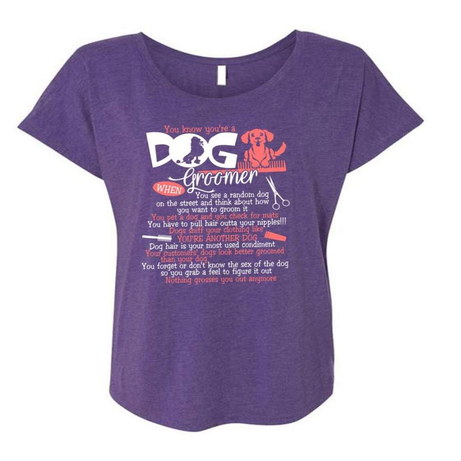 You Know You’re A Dog Groomer T Shirt, You’re Another Dog T Shirt, Cool Shirt (Ladies’ Triblend Dolman Sleeve)