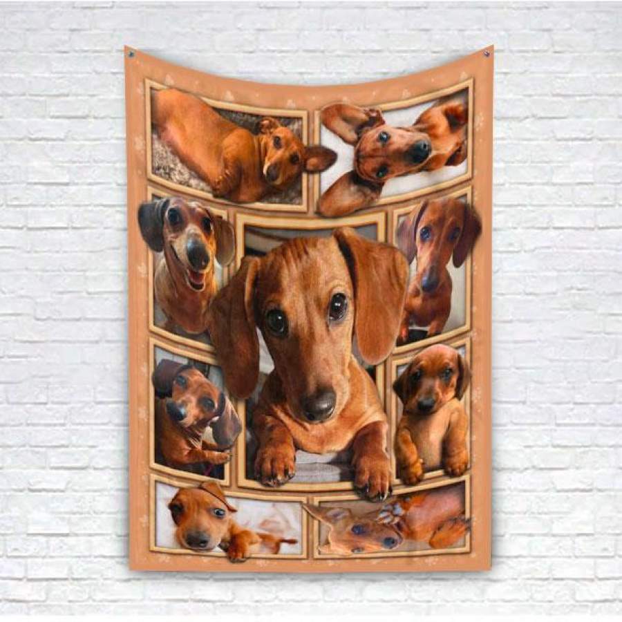 Dachshund puppy dog Red – Fleece Blanket