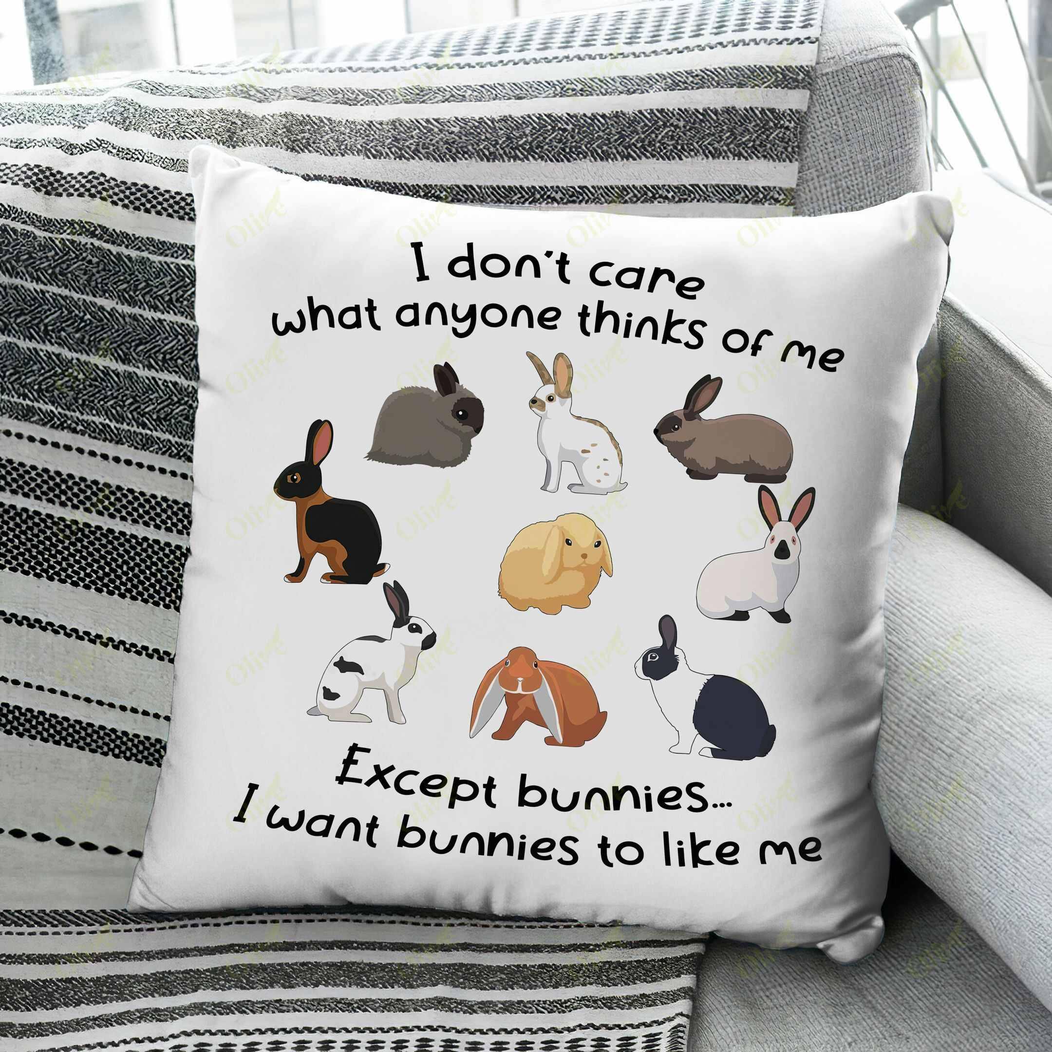 Rabbit – I Want Bunnies To Like Me Pillow Case, Pillow Sofa, Pillow Cover, Throw Pillow Covers