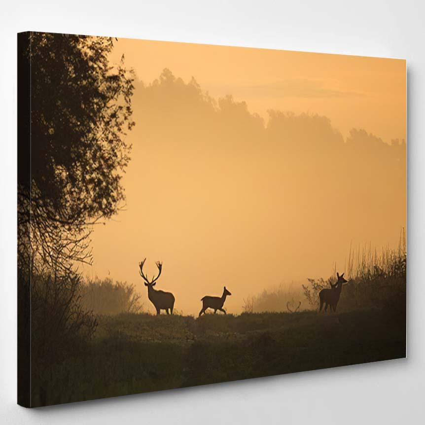 Silhouette Red Deer Hinds On Meadow – Deer Animals Canvas Print