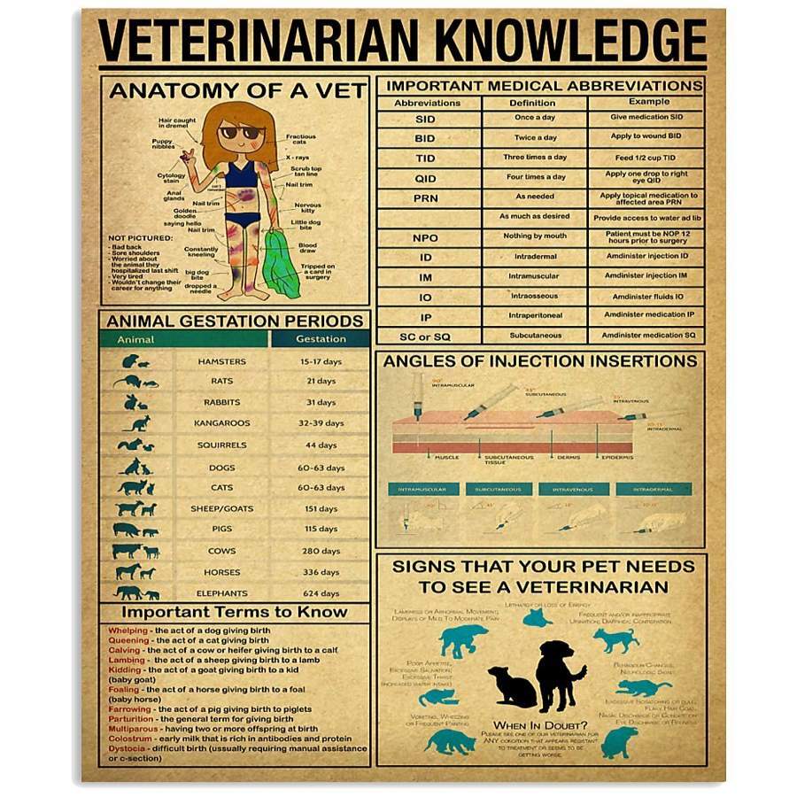 Veterinarian Knowledge  Custom Design For Animal Lovers Vertical Poster