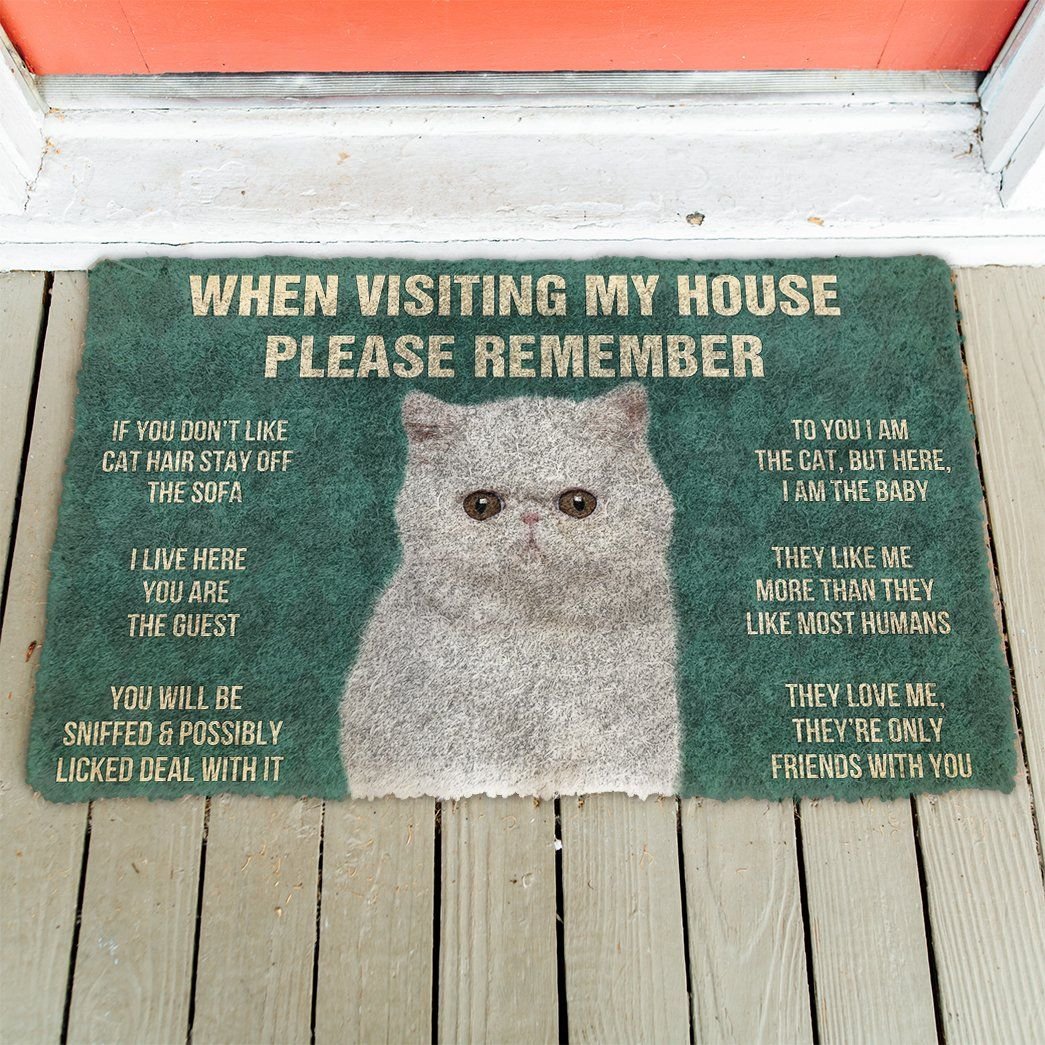 3D Please Remember Exotic Shorthair Cats House Rules Doormat