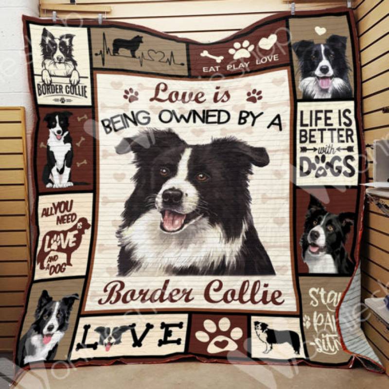 Border Collie Dog Blanket NOV2002 78O58