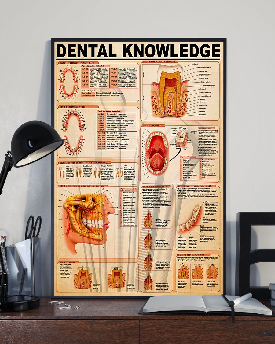 Professions Poster – Dentist Knowledge Vertical Canvas And Poster | Wall Decor Visual Art