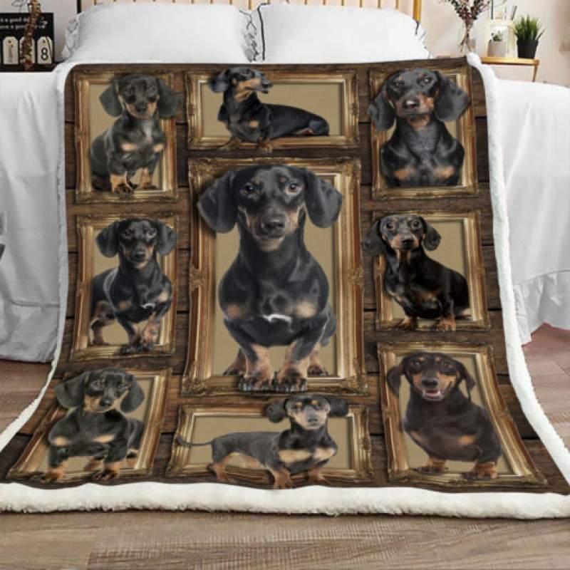 Dachshund Dog Sherpa Blanket JR1602 69O31