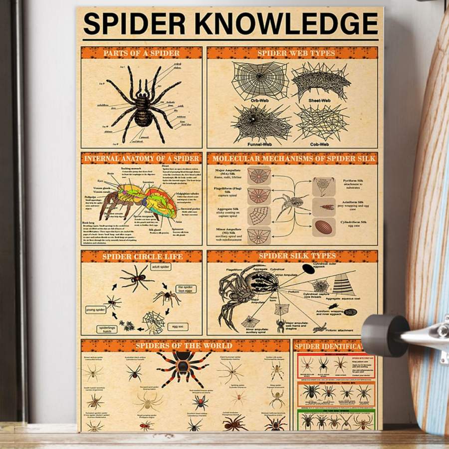 Spider Knowledge Special Custom Design Poster  Gift  For Cool Boys