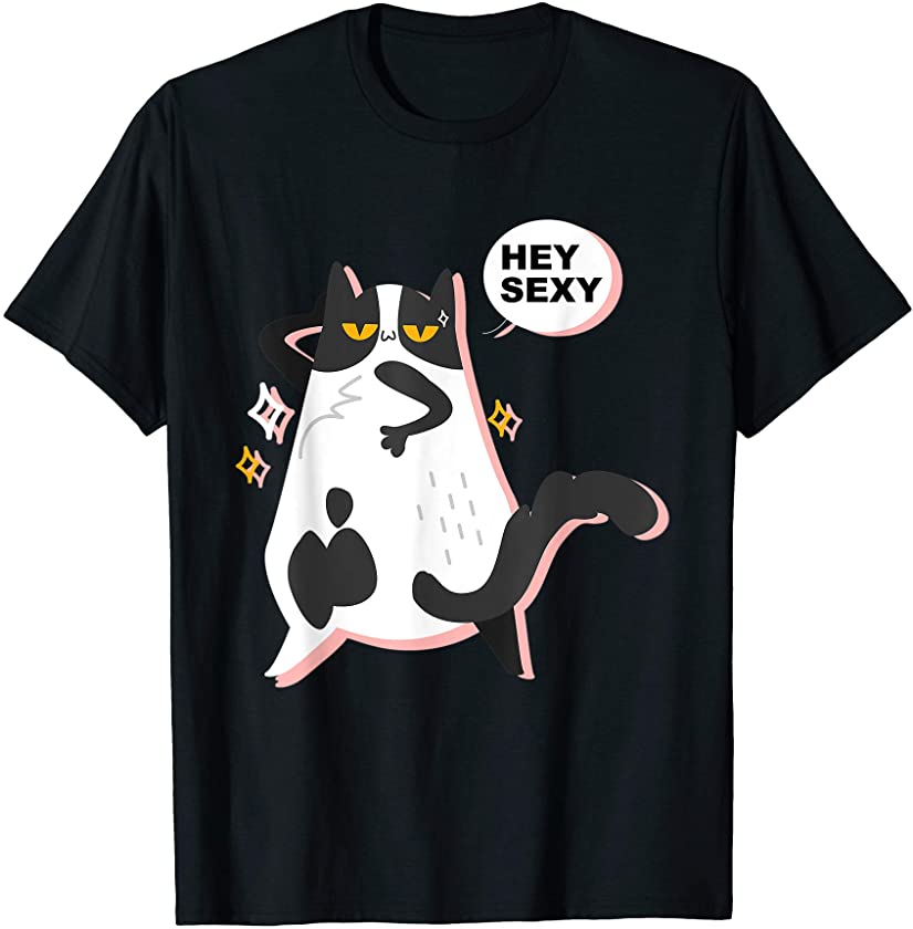 Women Cat shirt Says Hey Sexy cute Kitten Funny T-Shirt