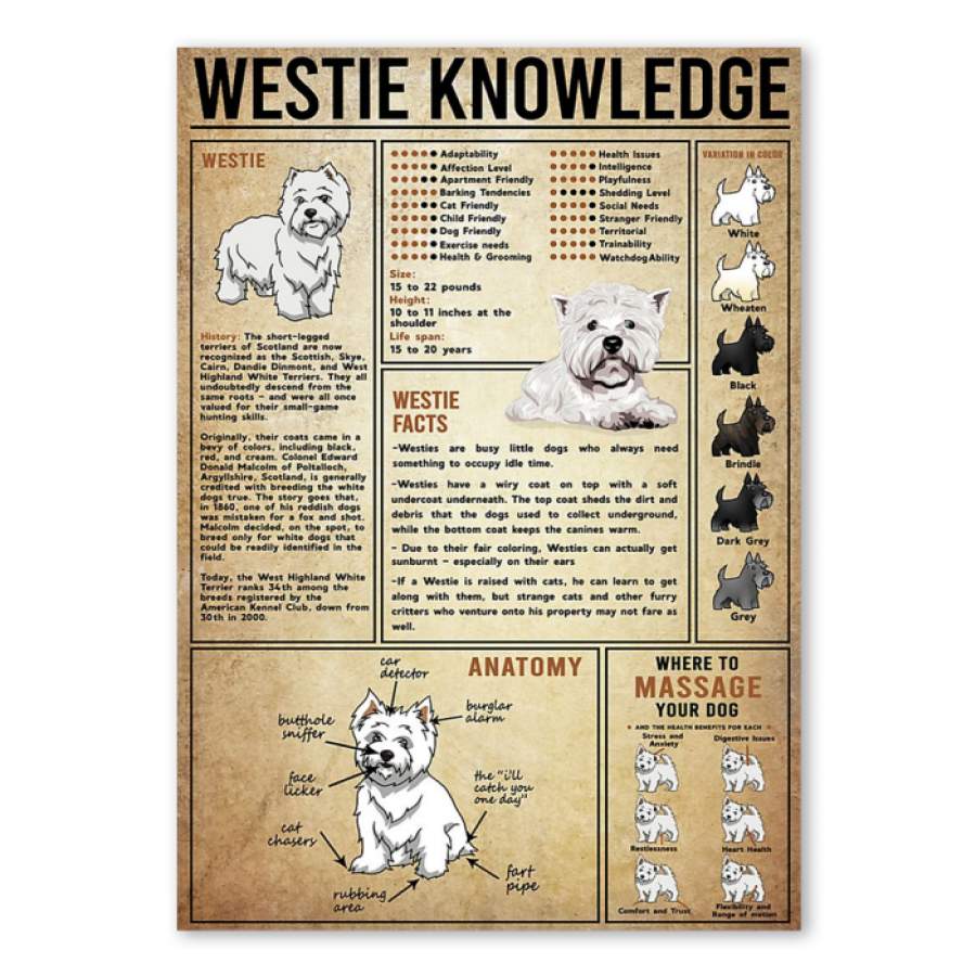 Westie Knowledge Custom Design Gift For Westie Lovers Poster