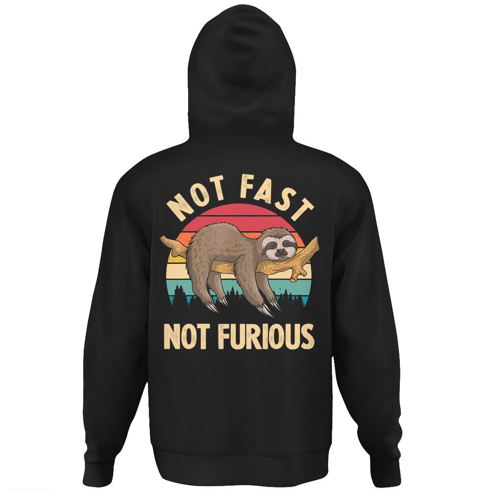 Funny Sloth Not Fast Not Furious Sloth Quote Cute Sloth Gift Hoodie Print On Back